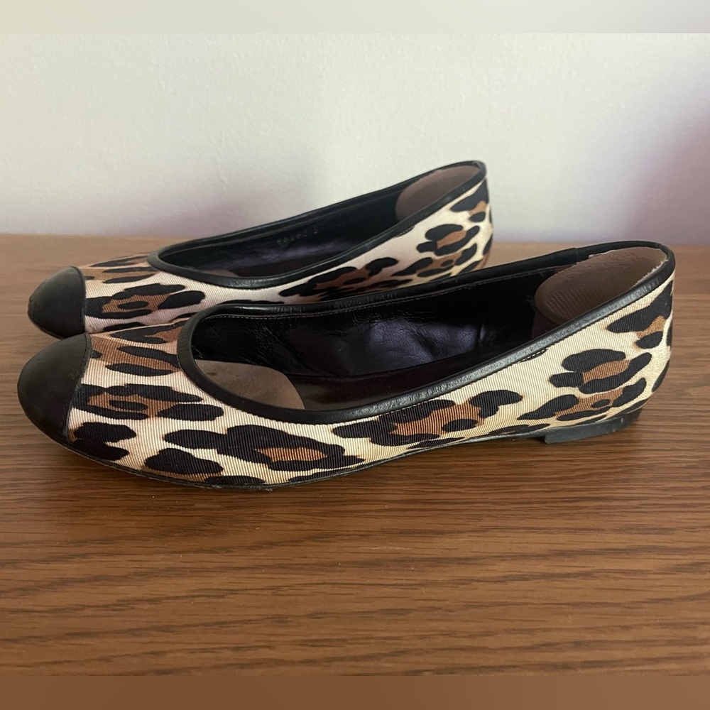 Giuseppe Zanotti 37.5 Leopard Cap Toe Flats